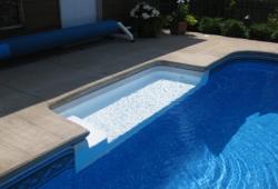 Inspiration Gallery - Pool Tanning Ledges - Image: 146