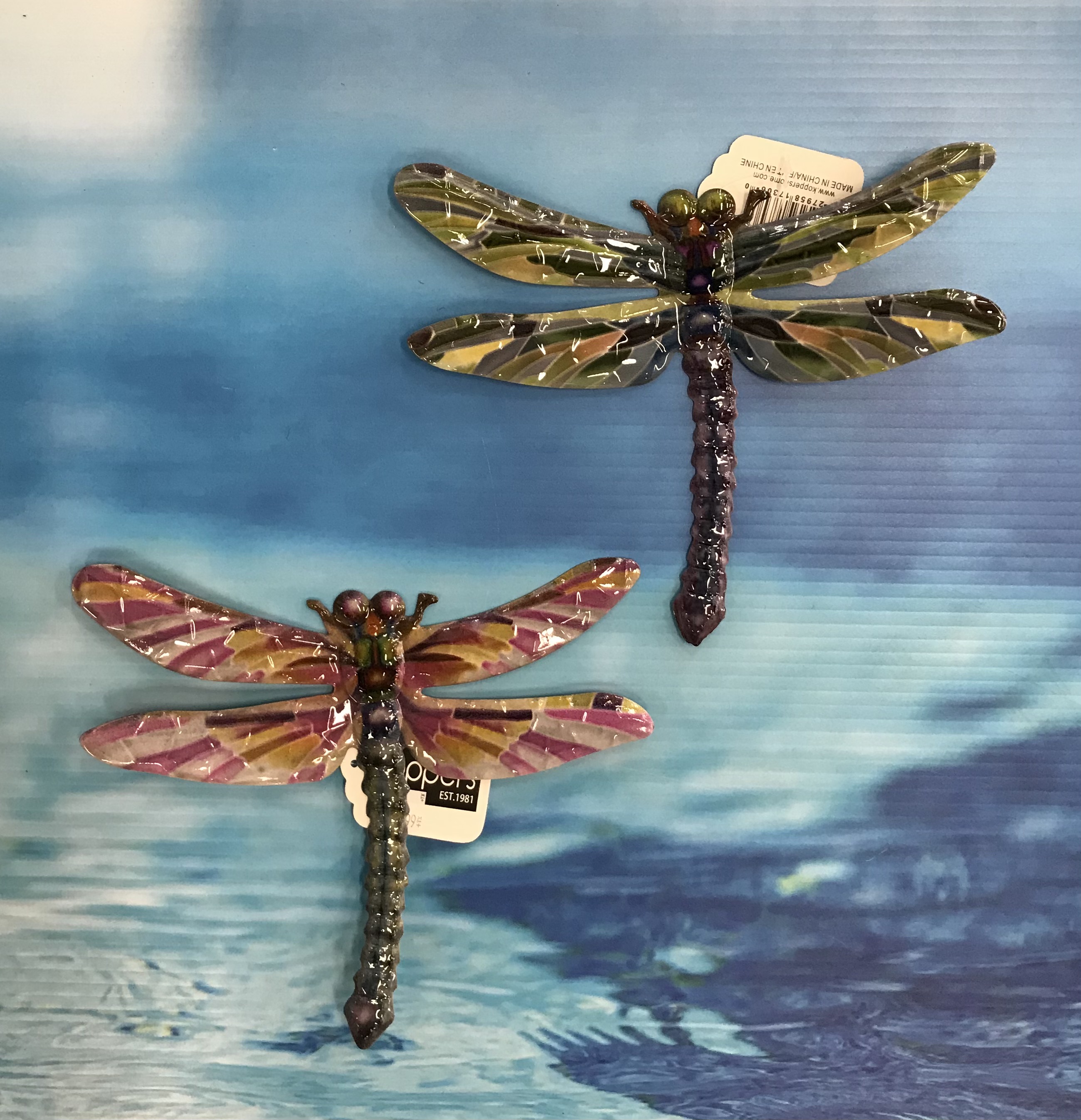 dragonflies